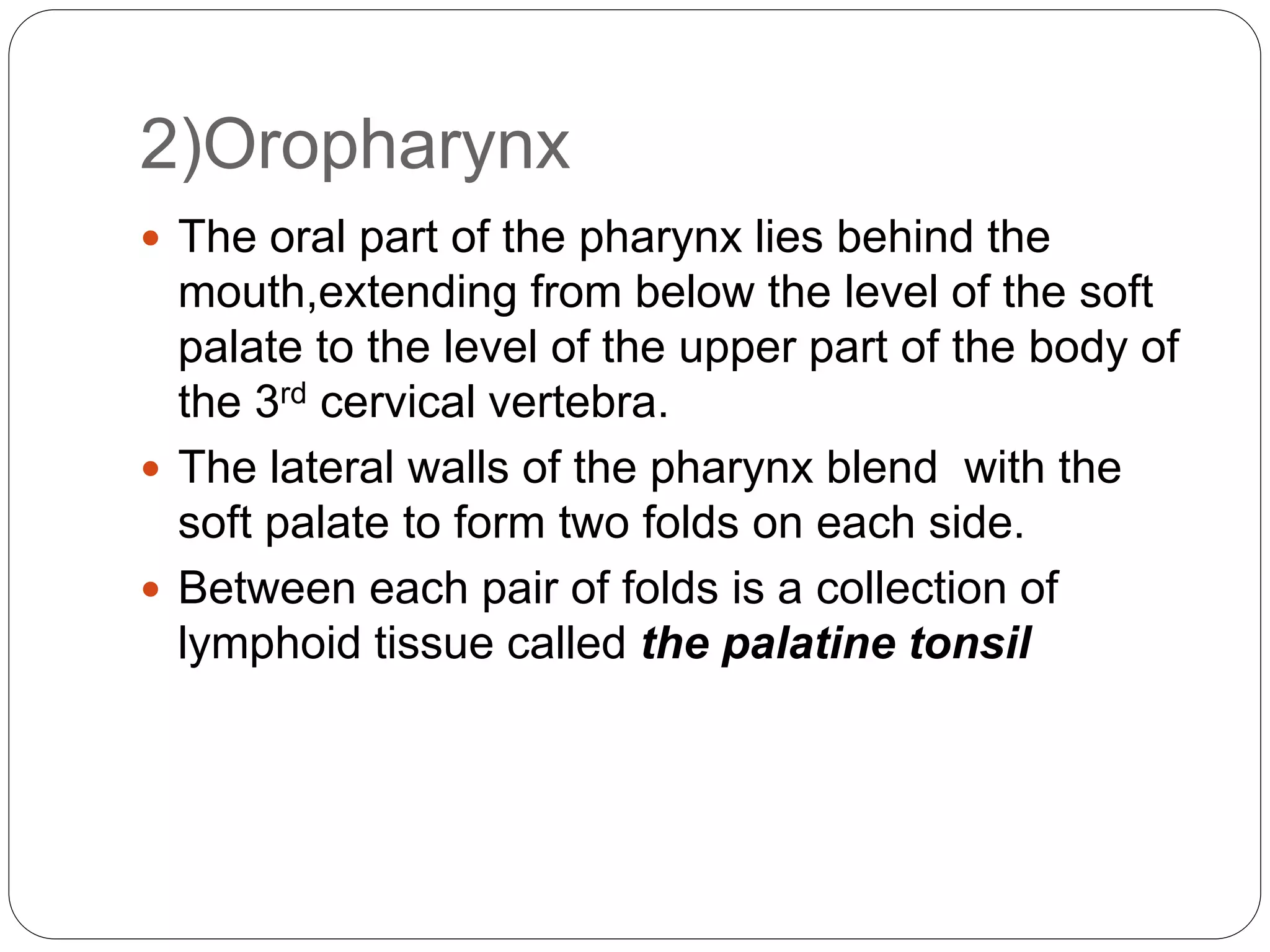 2)Oropharynx
 The oral part of the pharynx lies behind the
mouth,extending from below the level of the soft
palate to the level of the upper part of the body of
the 3rd cervical vertebra.
 The lateral walls of the pharynx blend with the
soft palate to form two folds on each side.
 Between each pair of folds is a collection of
lymphoid tissue called the palatine tonsil
 