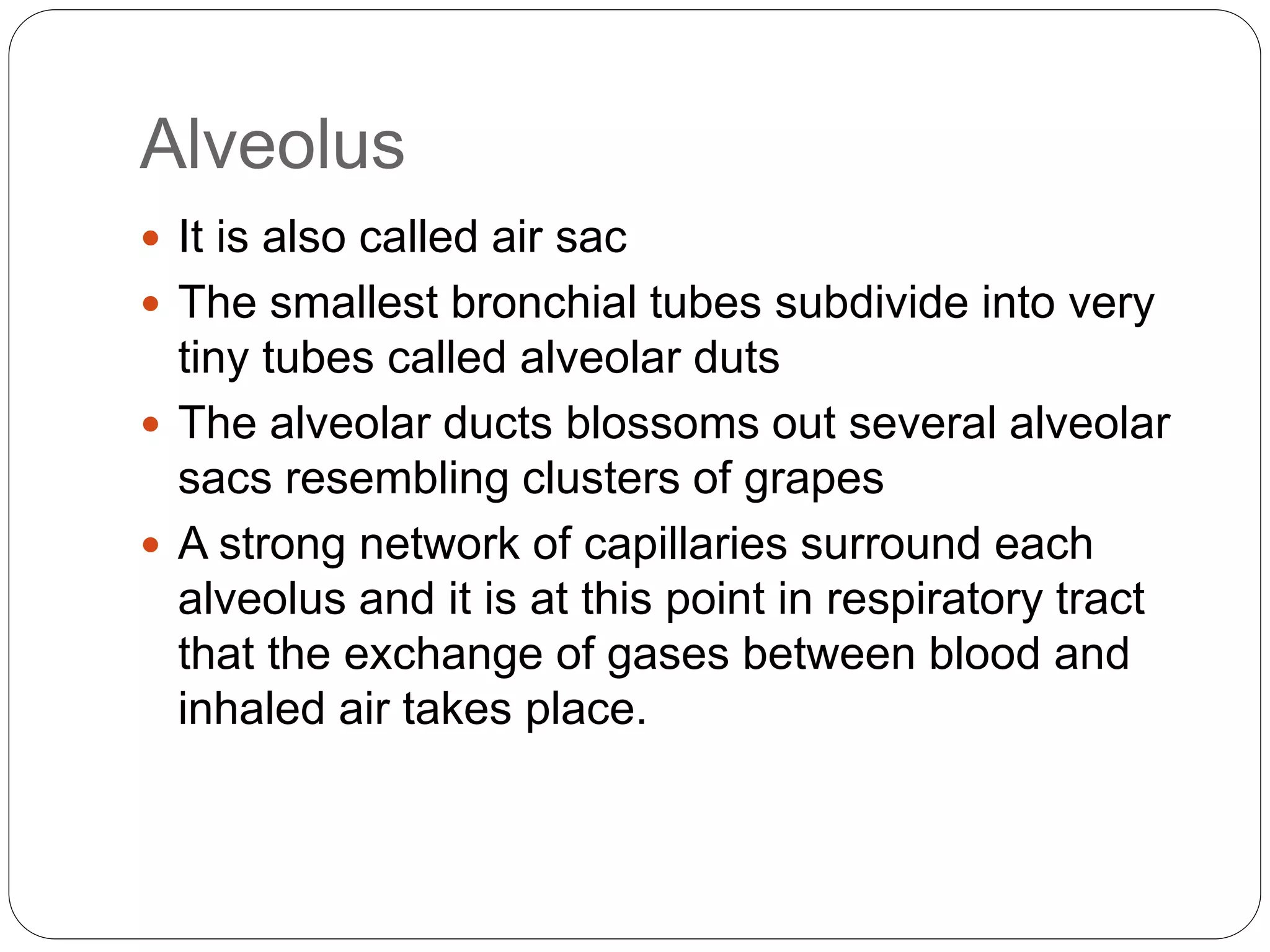 Alveolus
 It is also called air sac
 The smallest bronchial tubes subdivide into very
tiny tubes called alveolar duts
 The alveolar ducts blossoms out several alveolar
sacs resembling clusters of grapes
 A strong network of capillaries surround each
alveolus and it is at this point in respiratory tract
that the exchange of gases between blood and
inhaled air takes place.
 