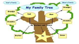 Unt 1  year 7 and 8 esol