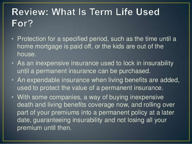 What is the difference between Whole Life and Indexed