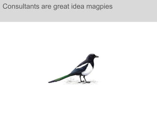 Consultants are great idea magpies
 