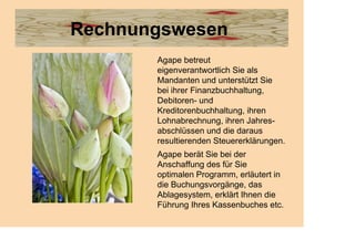 Rechnungswesen
       Agape betreut
       eigenverantwortlich Sie als
       Mandanten und unterstützt Sie
       bei ihrer Finanzbuchhaltung,
       Debitoren- und
       Kreditorenbuchhaltung, ihren
       Lohnabrechnung, ihren Jahres-
       abschlüssen und die daraus
       resultierenden Steuererklärungen.
       Agape berät Sie bei der
       Anschaffung des für Sie
       optimalen Programm, erläutert in
       die Buchungsvorgänge, das
       Ablagesystem, erklärt Ihnen die
       Führung Ihres Kassenbuches etc.
 