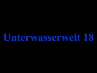 Unterwasserwelt 18 