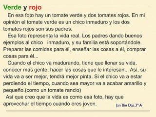 Verde y rojo 
En esa foto hay un tomate verde y dos tomates rojos. En mi
opinión el tomate verde es un chico inmaduro y los dos
tomates rojos son sus padres. 
Esa foto representa la vida real. Los padres dando buenos
ejemplos al chico inmaduro, y su familia está soportándole.
Preparar las comidas para él, enseñar las cosas a él, comprar
cosas para él... 
Cuando el chico va madurando, tiene que llenar su vida,
conocer más gente, hacer las cosas que le interesan... Así, su
vida va a ser mejor, tendrá mejor pinta. Si el chico va a estar
perdiendo el tiempo, cuando sea mayor va a acabar amarillo y
pequeño.(como un tomate rancio) 
Así que creo que la vida es como esa foto, hay que
aprovechar el tiempo cuando eres joven. Jan Bin Dai, 3º A
 