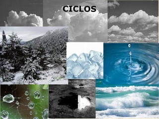 Luis Vázquez López. 2º C. Curso 2013-2014
CICLOS
 