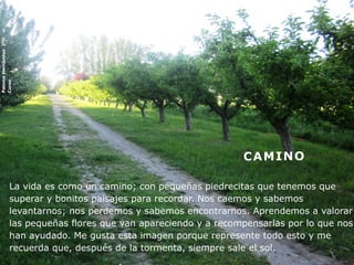 La vida es como un camino; con pequeñas piedrecitas que tenemos que
superar y bonitos paisajes para recordar. Nos caemos y sabemos
levantarnos; nos perdemos y sabemos encontrarnos. Aprendemos a valorar
las pequeñas flores que van apareciendo y a recompensarlas por lo que nos
han ayudado. Me gusta esta imagen porque represente todo esto y me
recuerda que, después de la tormenta, siempre sale el sol.
CAMINO
PalomaHernández2ºD
Curso13/14
 