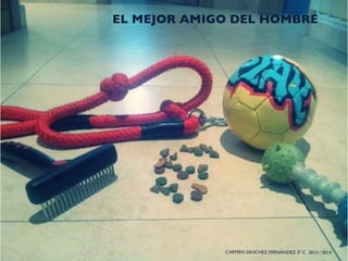 CARMEN SÁNCHEZ FERNÁNDEZ 3º C 2013 / 2014
EL MEJOR AMIGO DEL HOMBRE
 
