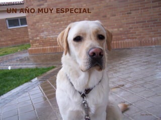 UN AÑO MUY ESPECIAL
Juan Ramón
 