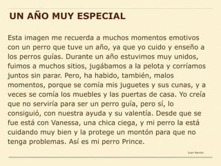 Esta imagen me recuerda a muchos momentos emotivos
con un perro que tuve un año, ya que yo cuido y enseño a
los perros guías. Durante un año estuvimos muy unidos,
fuimos a muchos sitios, jugábamos a la pelota y corríamos
juntos sin parar. Pero, ha habido, también, malos
momentos, porque se comía mis juguetes y sus cunas, y a
veces se comía los muebles y las puertas de casa. Yo creía
que no serviría para ser un perro guía, pero sí, lo
consiguió, con nuestra ayuda y su valentía. Desde que se
fue está con Vanessa, una chica ciega, y mi perro la está
cuidando muy bien y la protege un montón para que no
tenga problemas. Así es mi perro Prince.
UN AÑO MUY ESPECIAL
Juan Ramón
 