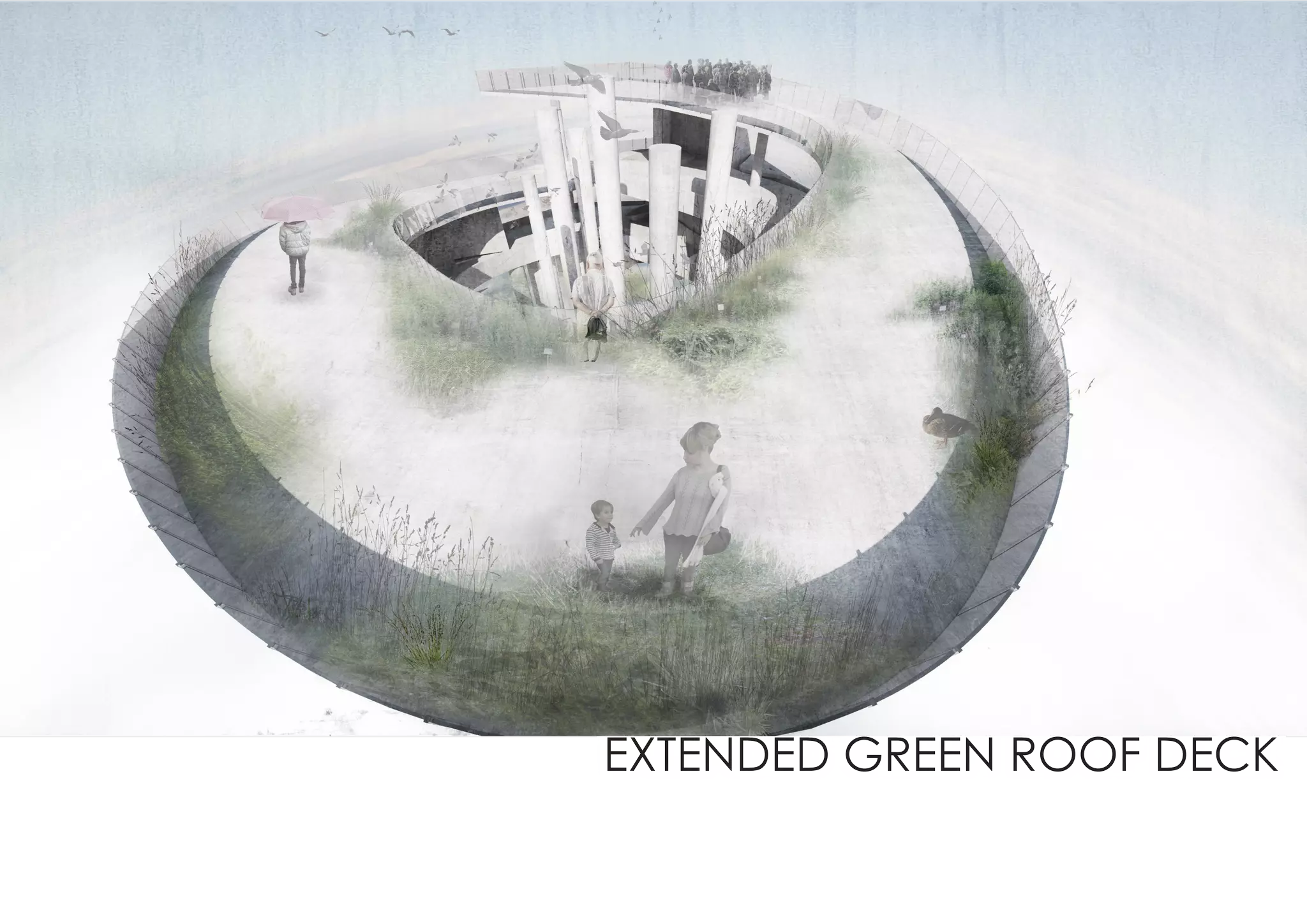 EXTENDED GREEN ROOF DECK
 