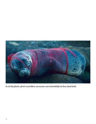16
In al dat plastic afval verstrikken zeewezens wat uiteindelijk tot hun dood leidt.
 