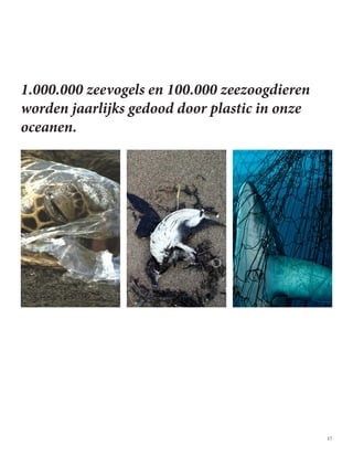 17
1.000.000 zeevogels en 100.000 zeezoogdieren
worden jaarlijks gedood door plastic in onze
oceanen.
 