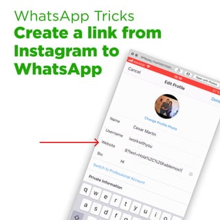 WhatsApp Tricks
Create a link from
Instagram to
WhatsApp
 