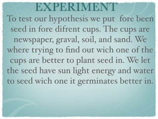 EXPERIMENT
To test our hypothesis we put fore been
 seed in fore difrent cups. The cups are
  newspaper, graval, soil, and sand. We
where trying to ﬁnd out wich one of the
 cups are better to plant seed in. We let
the seed have sun light energy and water
to seed wich one it germinates better in.
 