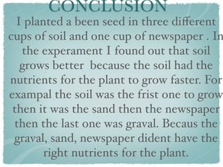 CONCLUSION
  I planted a been seed in three diﬀerent
cups of soil and one cup of newspaper . In
   the experament I found out that soil
   grows better because the soil had the
nutrients for the plant to grow faster. For
exampal the soil was the frist one to grow
 then it was the sand then the newspaper
 then the last one was graval. Becaus the
 graval, sand, newspaper dident have the
        right nutrients for the plant.
 