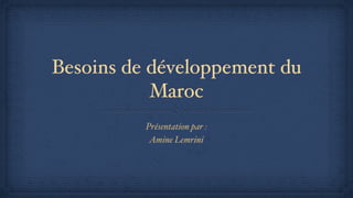 Besoins de développement du
           Maroc
          Présentation par :
           Amine Lemrini
 