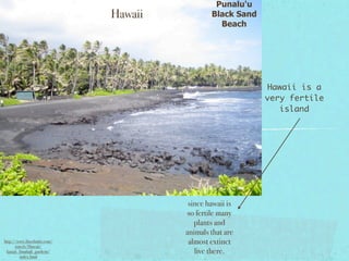 Punalu'u
                            Hawaii           Black Sand
                                               Beach




                                                          Hawaii is a
                                                          very fertile
                                                             island




                                      since hawaii is
                                     so fertile many
                                        plants and
                                     animals that are
http://www.fmschmitt.com/
      travels/Hawaii/
                                      almost extinct
 kauaii_limahuli_gardens/               live there.
         index.html
 