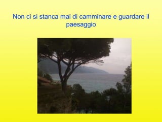 Non ci si stanca mai di camminare e guardare il
                  paesaggio
 