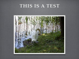 THIS IS A TEST
 