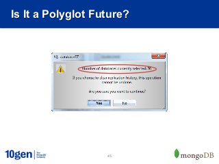 Is It a Polyglot Future?




                   45
 