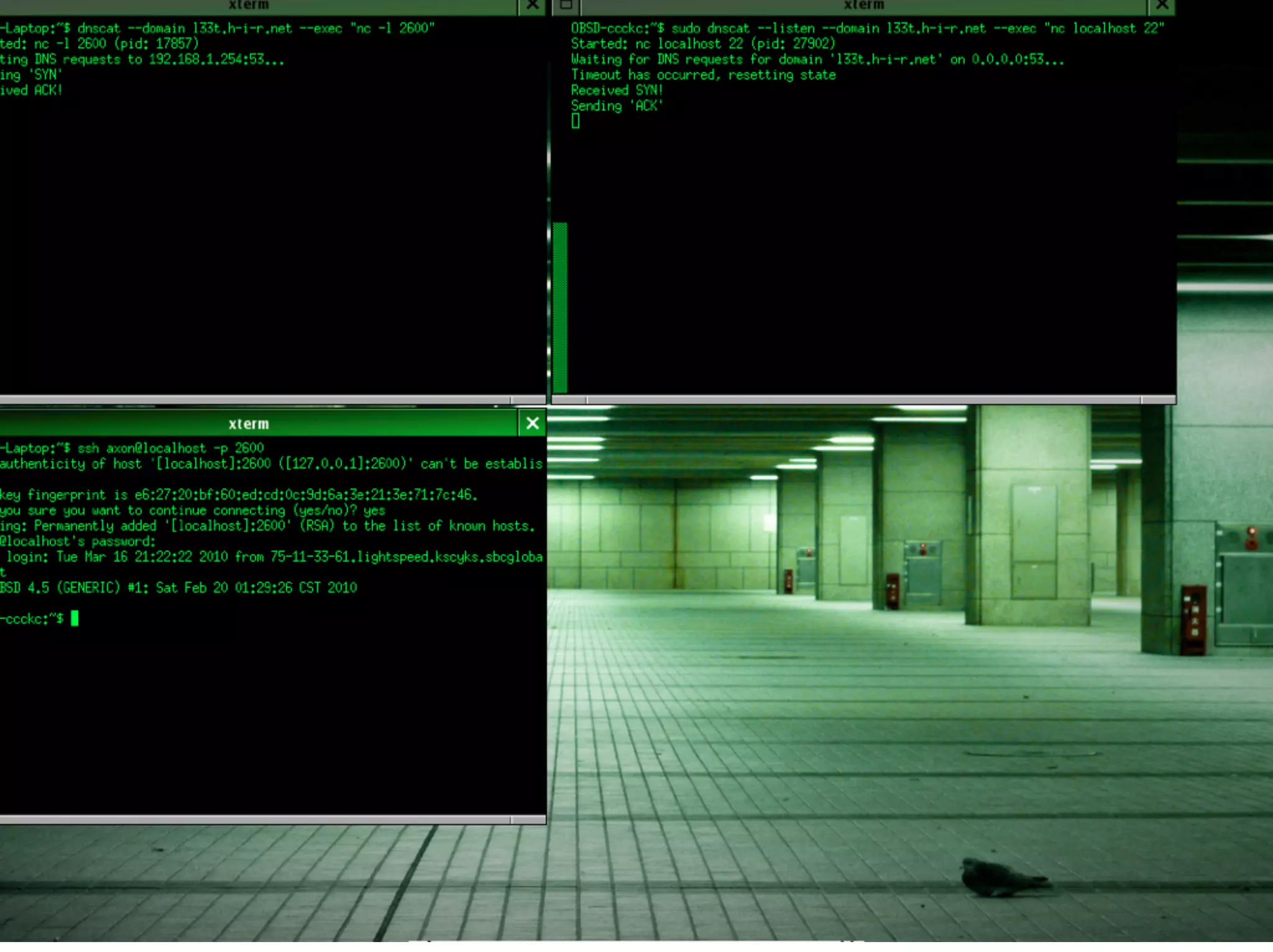 http://farm5.static.ﬂickr.com/4016/4439159065_f81cb4474d_o.png
And they are very good at stuff like this
 