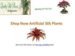 Shop Now Artificial Silk Plants

Want more Information, visit http://goo.gl/jQ8Kw5 Now.

 