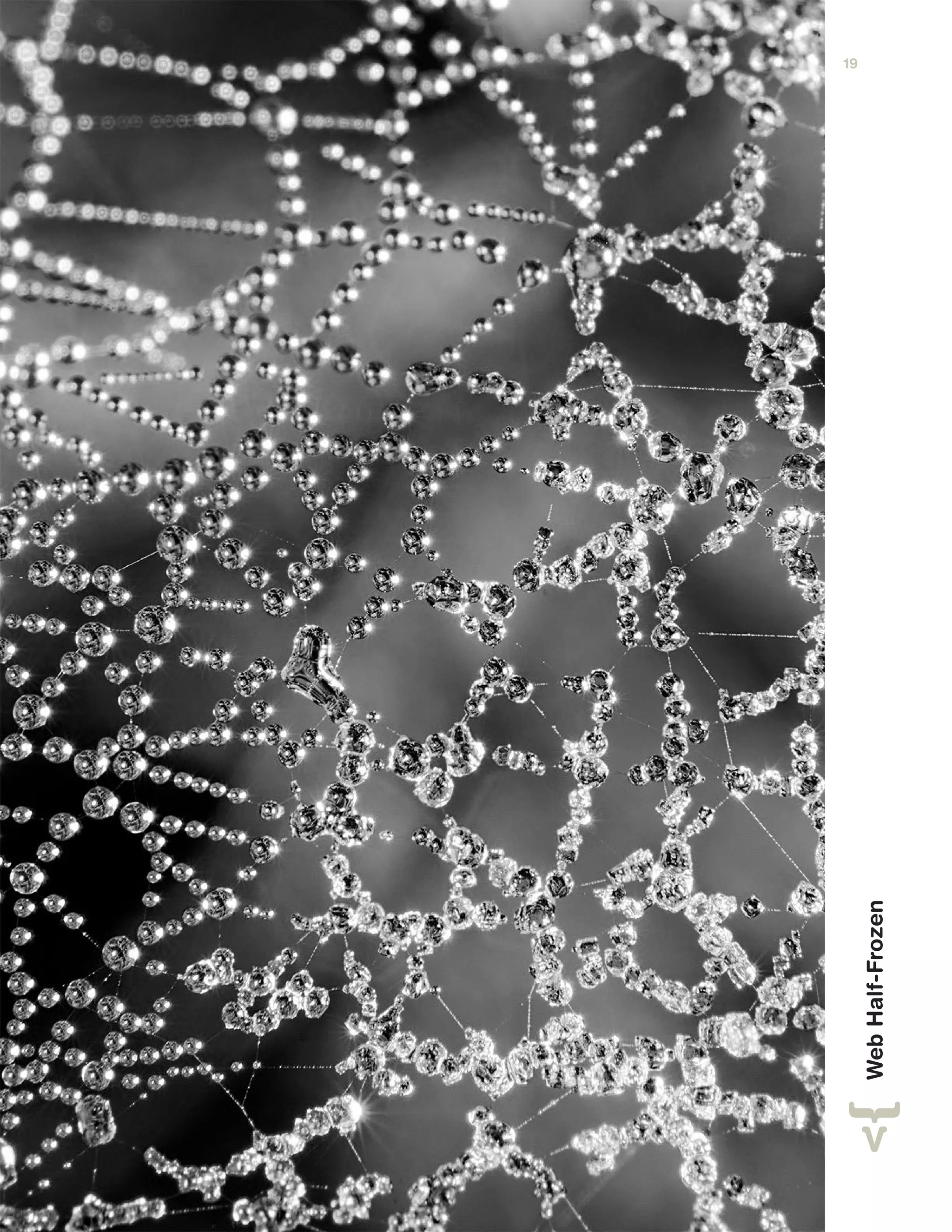 WebHalf-Frozen
19
 