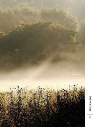 Mistymorning
9
 