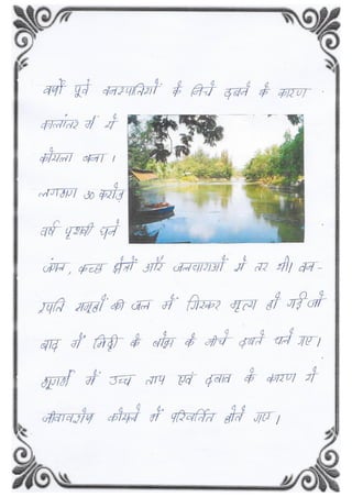 COAL- Multidisciplinary project