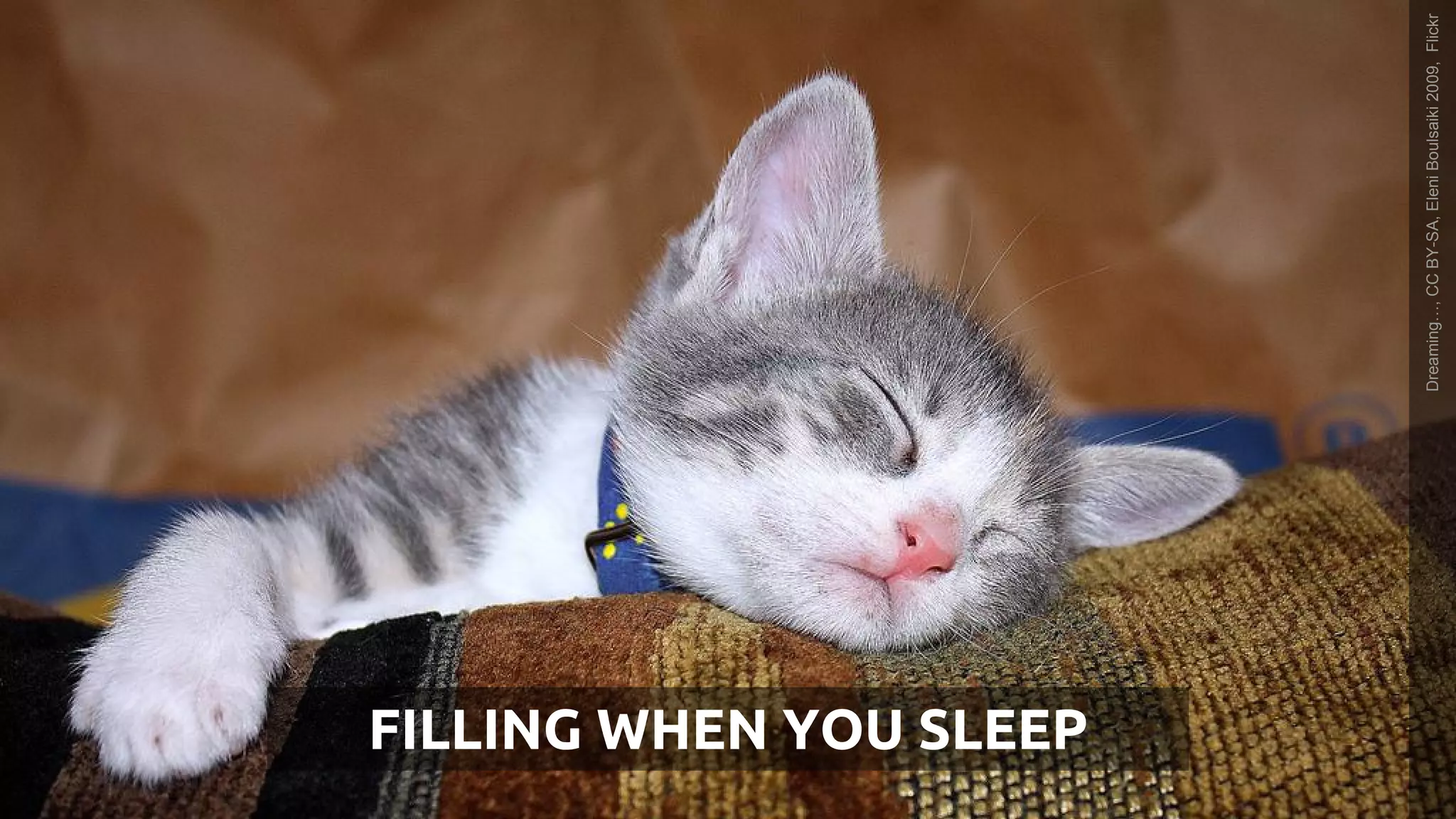 FILLING WHEN YOU SLEEP
Dreaming…,CCBY-SA,EleniBoulsaiki2009,Flickr
 