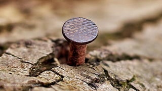 flickr.com/photos/128220700@N05
 