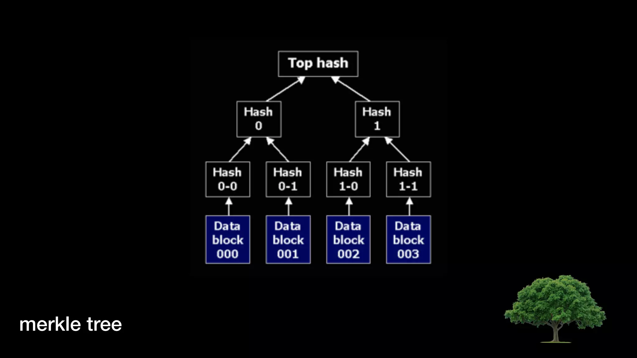 merkle tree
 