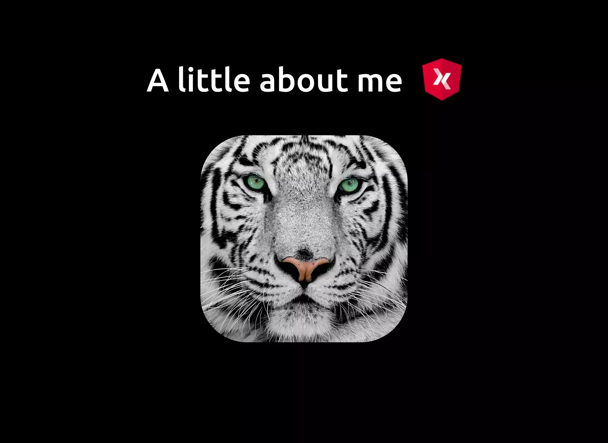 A little about meA little about me
 