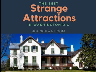 The Best Strange Attractions in Washington D.C.