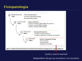 Fisiopatología
Lesión y muerte neuronal
Independiente de que sea convulsiva o no convulsiva
 