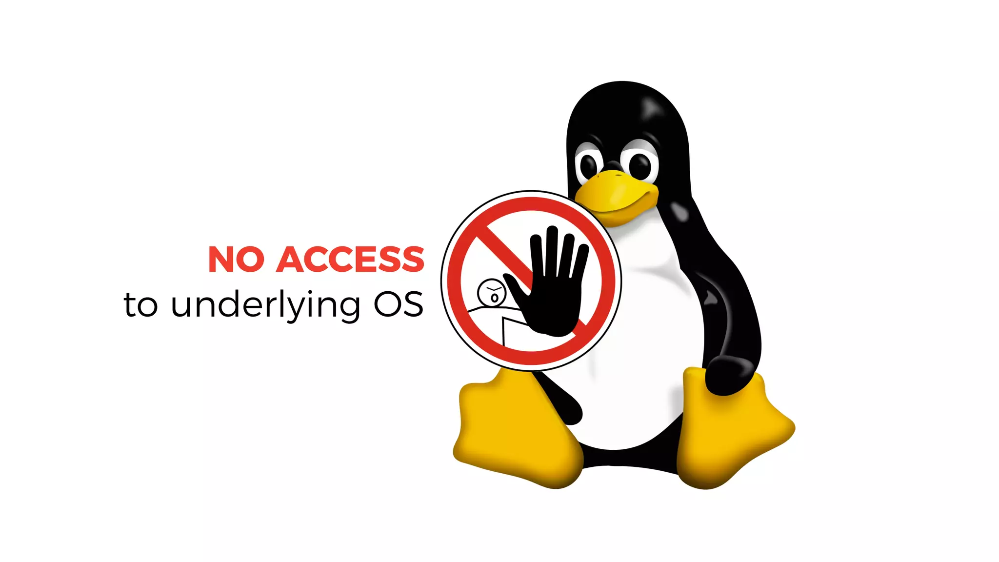NO ACCESS
to underlying OS
 