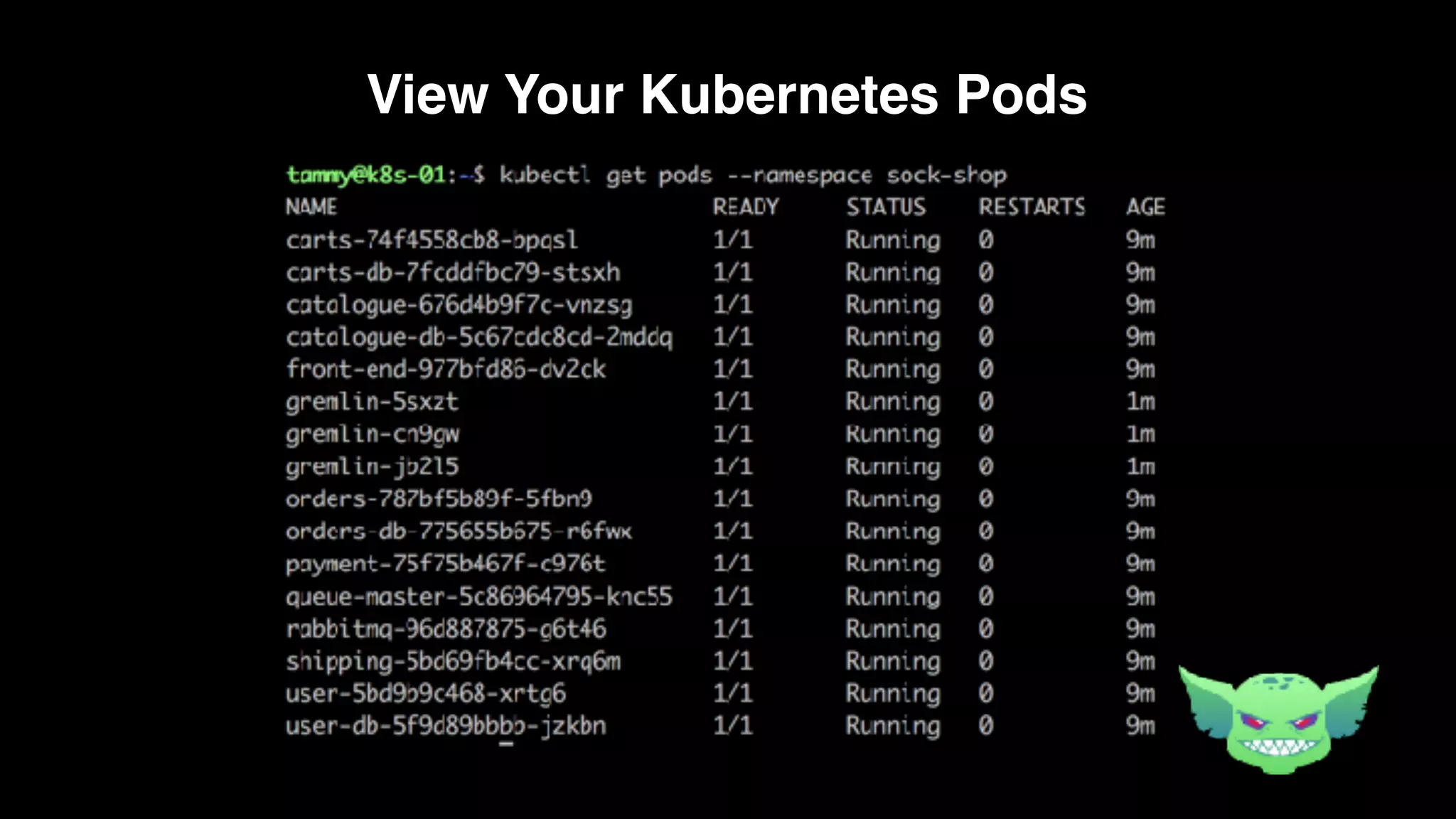 View Your Kubernetes Pods
 
