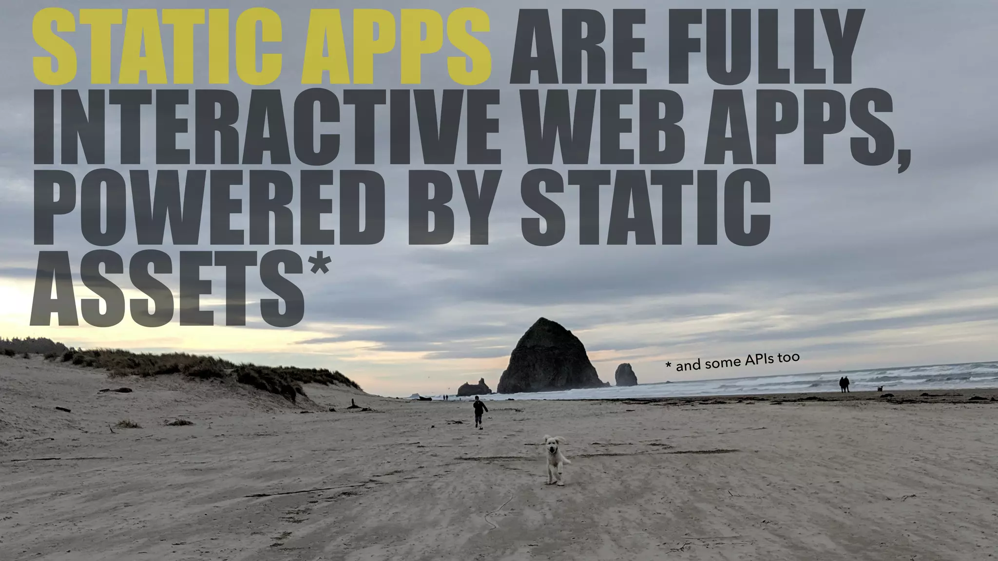  
STATIC APPS ARE FULLY
INTERACTIVE WEB APPS,
POWERED BY STATIC
ASSETS* * and some APIs too
 