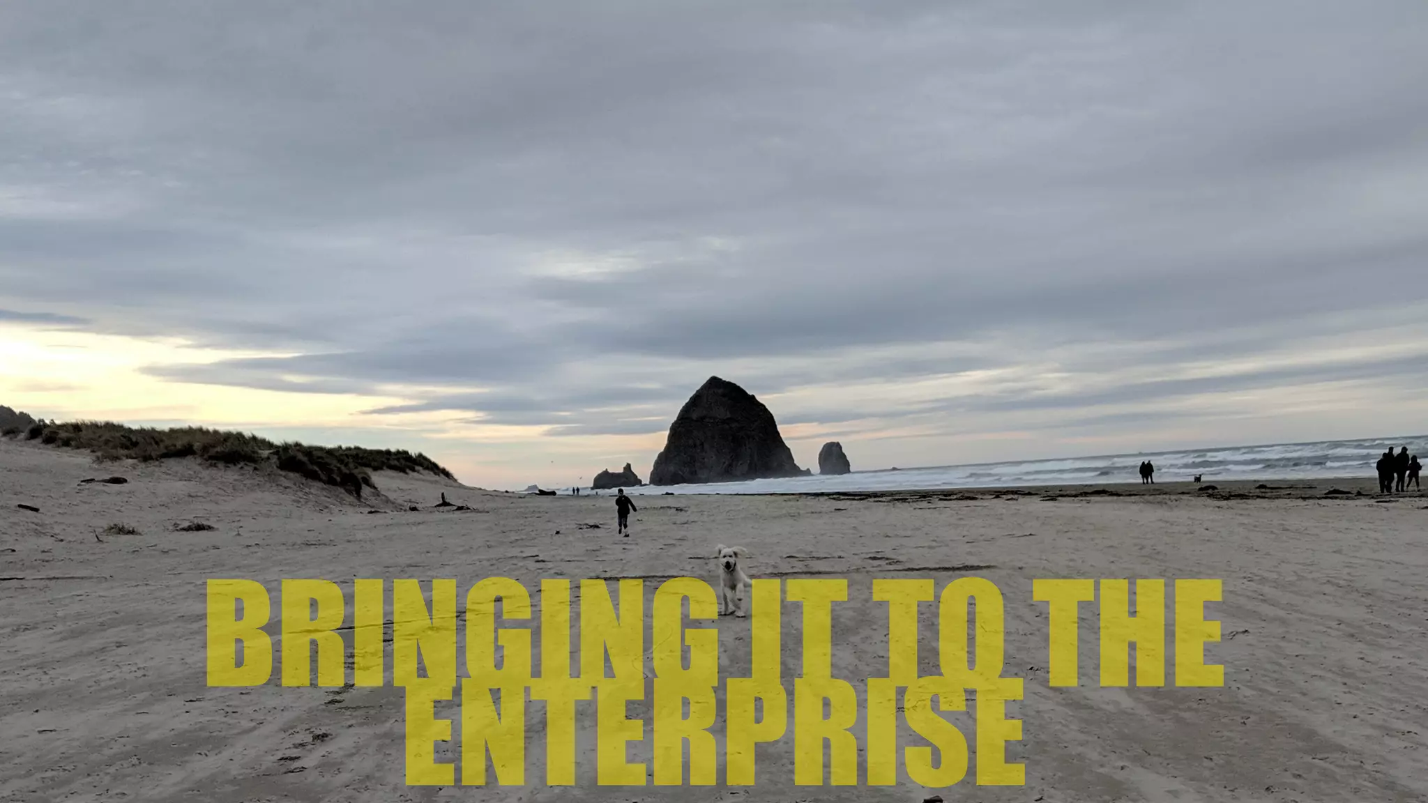 BRINGING IT TO THE
ENTERPRISE
 