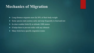 Mechanics of Migration
 Long distance migrants store fat 50% of their body weight
 Some species start journey early and stop frequently to feed and rest
 In clear weather birds fly at altitude 1000 meters
 It helps them to prevent strike with any obstacle
 Many birds have specific migration routes
 