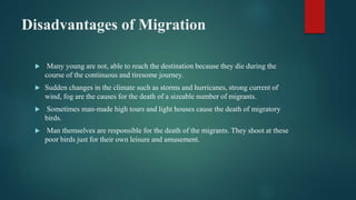 Disadvantages of Migration
 Many young are not, able to reach the destination because they die during the
course of the continuous and tiresome journey.
 Sudden changes in the climate such as storms and hurricanes, strong current of
wind, fog are the causes for the death of a sizeable number of migrants.
 Sometimes man-made high tours and light houses cause the death of migratory
birds.
 Man themselves are responsible for the death of the migrants. They shoot at these
poor birds just for their own leisure and amusement.
 