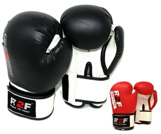 Boxing Gloves Punching Training Punch Bag Mitts MMA Sparring Pro Kick Fighting