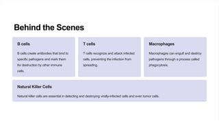 Behind the Scenes
B cells
B cells create antibodies that bind to
specific pathogens and mark them
for destruction by other immune
cells.
T cells
T cells recognize and attack infected
cells, preventing the infection from
spreading.
Macrophages
Macrophages can engulf and destroy
pathogens through a process called
phagocytosis.
Natural Killer Cells
Natural killer cells are essential in detecting and destroying virally-infected cells and even tumor cells.
 