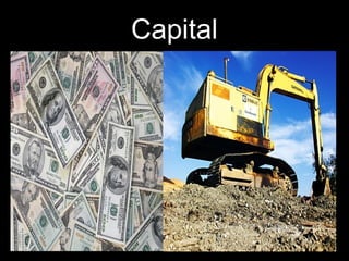 Capital 