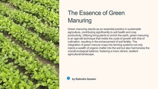 The Essence of Green
Manuring
Green manuring stands as an essential practice in sustainable
agriculture, contributing significantly to soil health and crop
productivity. Utilizing living plants to enrich the earth, green manuring
is an age-old technique that melds the cycle of growth with that of
cultivation, resulting in the enhancement of soil fertility. The
integration of green manure crops into farming systems not only
injects a wealth of organic matter into the soil but also harmonizes the
overall ecological balance, fostering a more vibrant, resilient
agricultural landscape.
by Rabindra Gautam
 