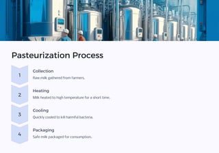 Pasteurization Process
1
Collection
Raw milk gathered from farmers.
2
Heating
Milk heated to high temperature for a short time.
3
Cooling
Quickly cooled to kill harmful bacteria.
4
Packaging
Safe milk packaged for consumption.
 