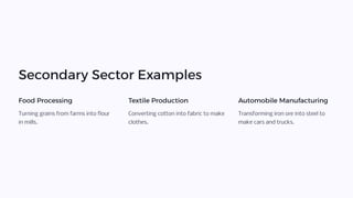 Secondary Sector Examples
Food Processing
Turning grains from farms into flour
in mills.
Textile Production
Converting cotton into fabric to make
clothes.
Automobile Manufacturing
Transforming iron ore into steel to
make cars and trucks.
 