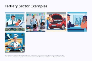 Tertiary Sector Examples
The tertiary sector includes healthcare, education, repair services, banking, and hospitality.
 