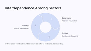 Interdependence Among Sectors
1
2
3
All three sectors work together and depend on each other to create products we use daily.
Primary
Provides raw materials
Secondary
Processes into products
Tertiary
Distributes and supports
 