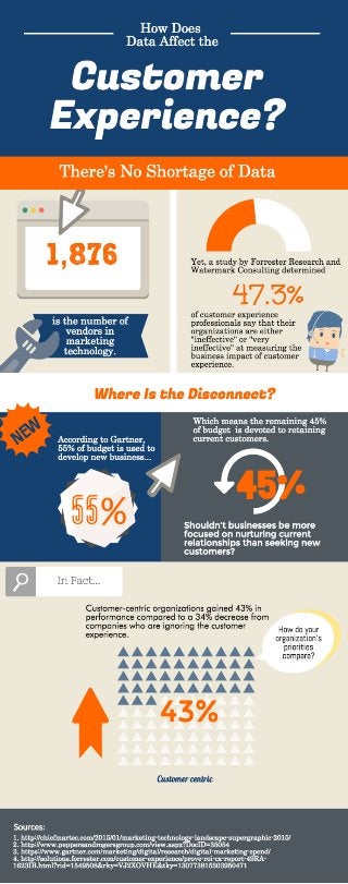 How Does Data Affect the Customer Experience? [Infographic]